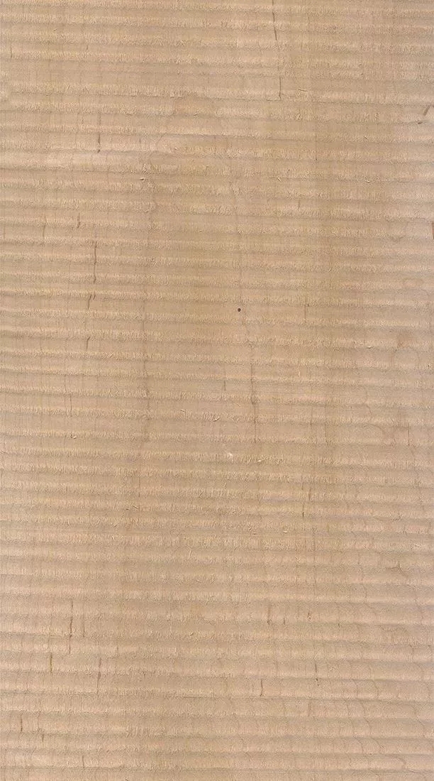 樺木的芯材顏色是淡紅棕色，邊材顏色近白色，板面寬且?guī)в暗哪酒な袌?chǎng)價(jià)格良好，紋理通常是直紋和波浪紋，質(zhì)地均勻，板面有很好的自然光澤度。.webp.jpg